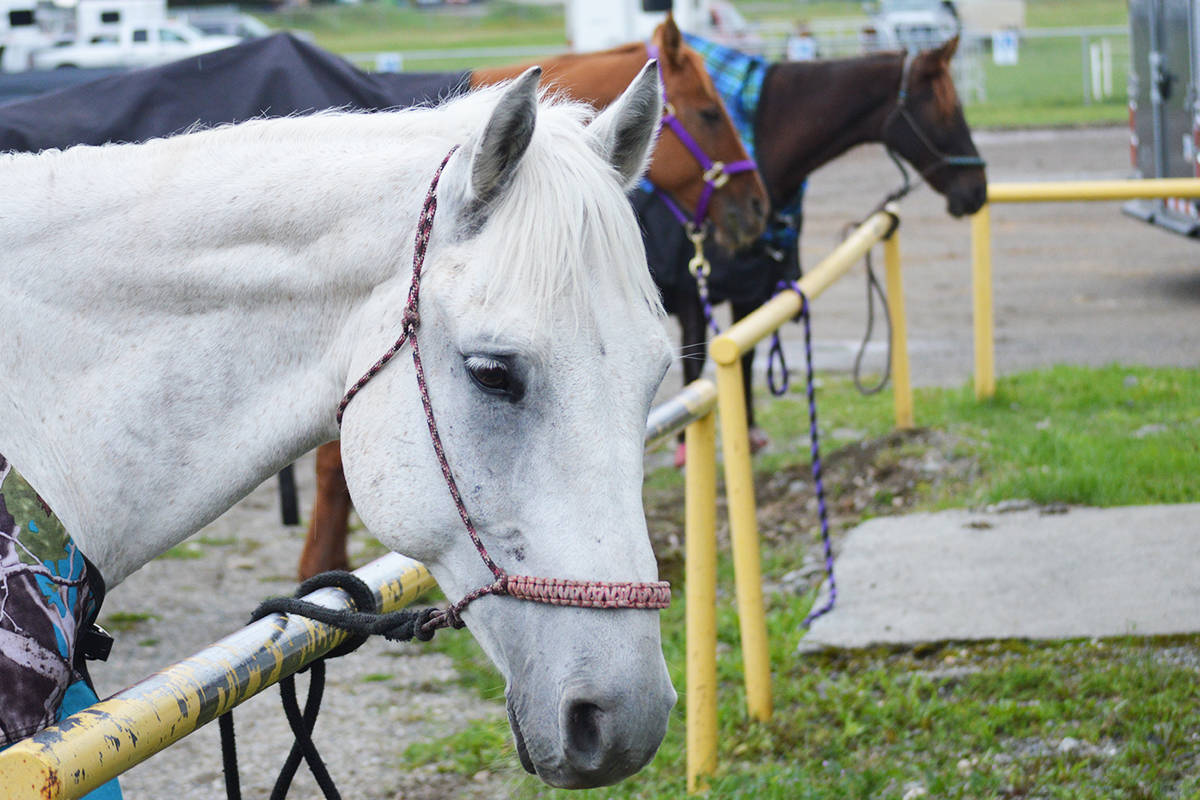 13573207_web1_180919-QCO-barrelracing3