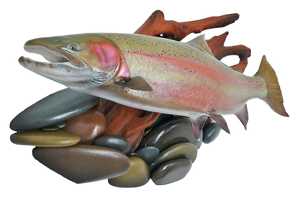 14154135_web1_steelhead-cutout-cmyk