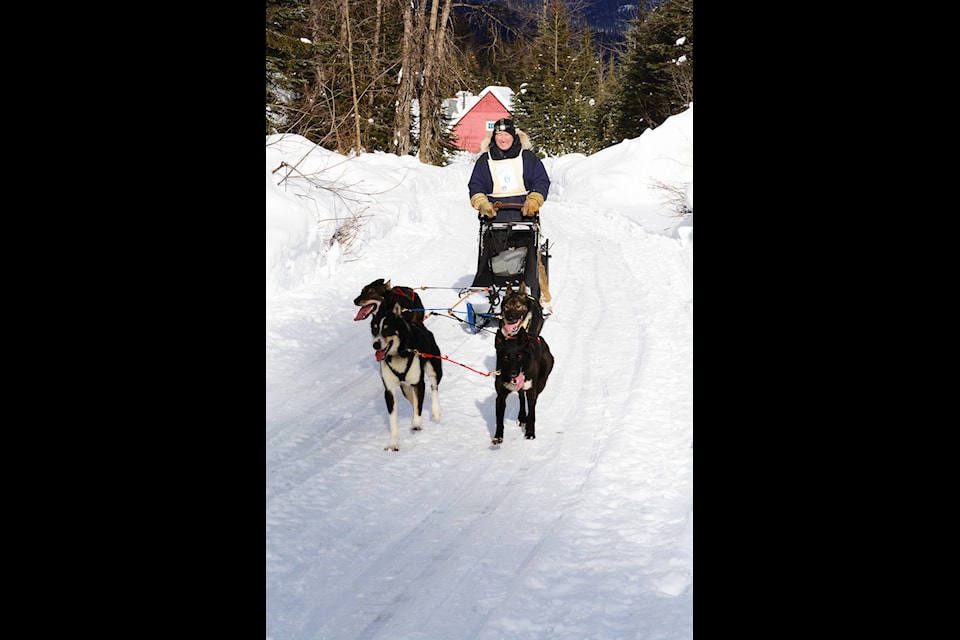 One of the dog teams comes into Barkerville Jan. 27. Karen Powell photo