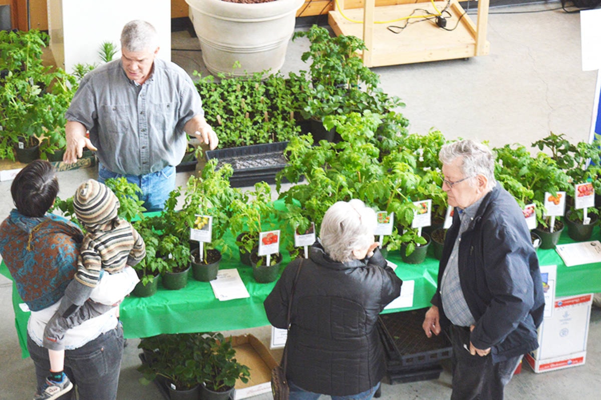 Growing in Changing Times is theme of Quesnel’s Seedy Saturday
