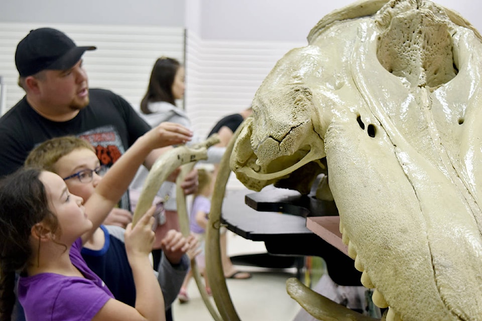 Local kids participated in the Build-a-Whale Workshop at West Park Mall on Thursday, May 23. They used the skeleton of an orca to learn about whales and conservation. Heather Norman photos