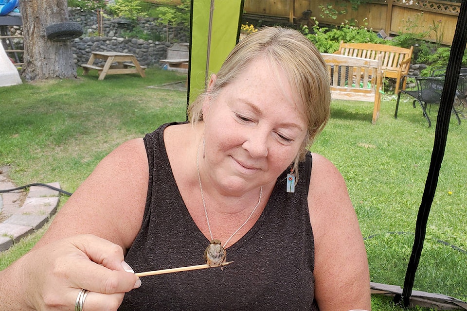 Caren Pritchard of Williams Lake prepares to fee a Rufous hummingbird rescued by Second Chance Wildlife Rescue Society. (Monica Lamb-Yorski photo - Williams Lake Tribune)