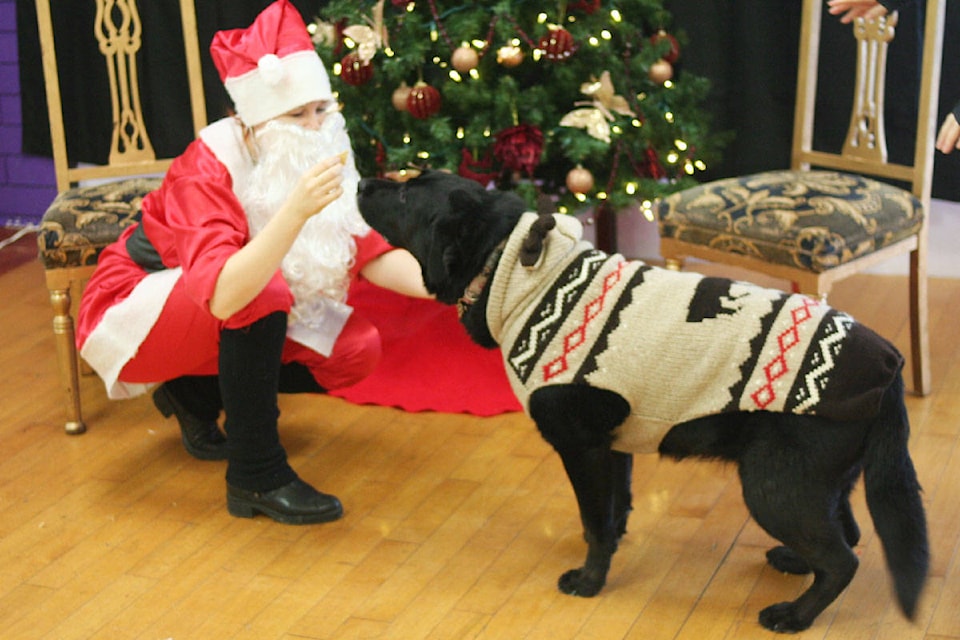 23625753_web1_201214-QCO-SantaPaws-Pets_2