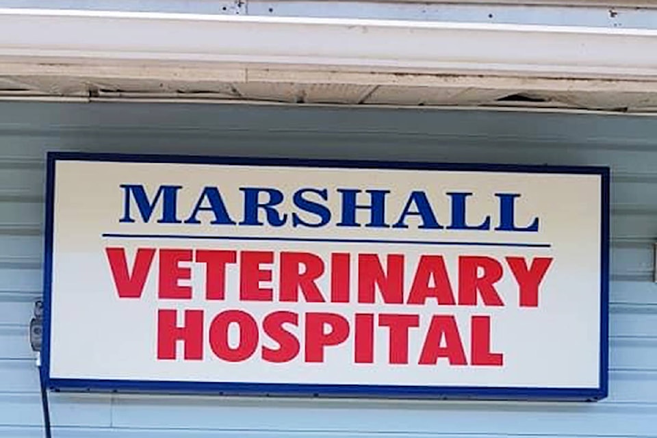 24866227_web1_210415-QCO-VeterinaryHopsitalEvacuated-vet_1