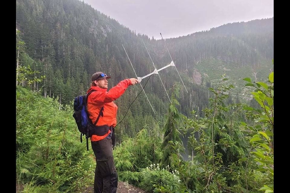 Kevin Gourlay uses radio telemetry to track marmots. Photo courtesy Kevin Gourlay.