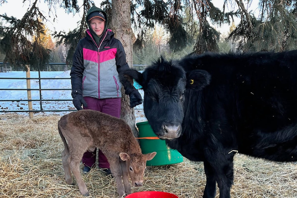 28460235_web1_220314-QCO-BarlowCreek4H-Steer_1