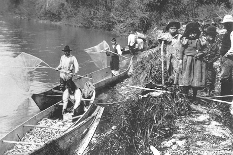 Eulachon were once so plentiful they could be scooped up out of the water in sufficient quantities to fill a canoe. (Photo courtesy of the Canadian Museum of History - 72-9717)