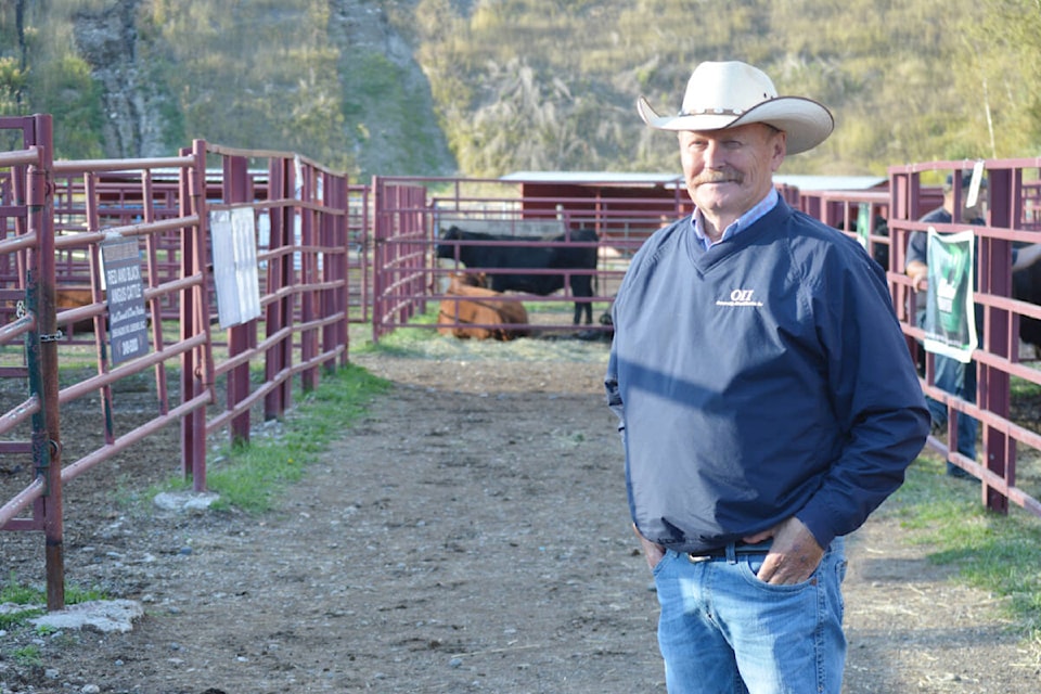 Bob Miller is the president of the BC Angus Association. (Rebecca Dyok photo — Quesnel Observer)
