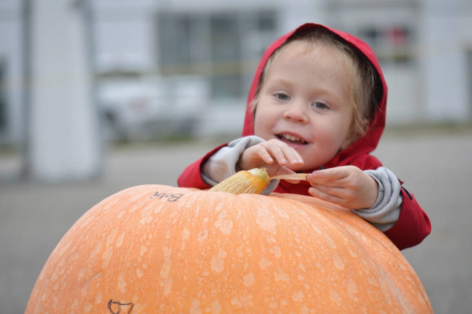 Juniper Martin stands in a wagon by an 89-pound pumpkin grown by her mom, Bobi. (Rebecca Dyok photo — Quesnel Observer)