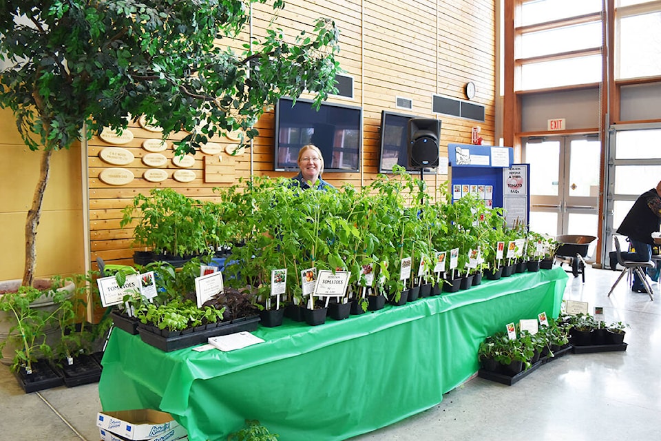 Quesnel feels the need for seed Quesnel Cariboo Observer