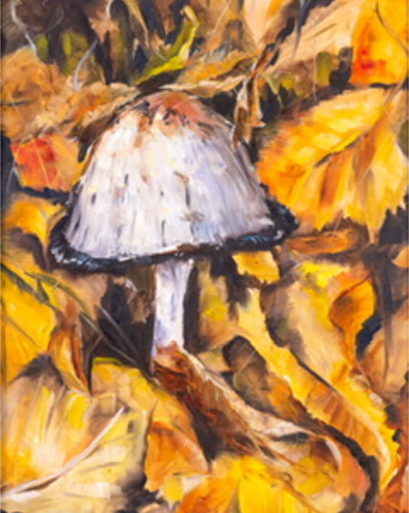 Find your way Home at Quesnel Art Gallery Quesnel Cariboo Observer