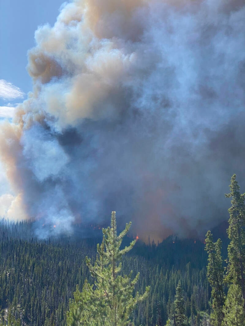 33317043_web1_230720-CMA-YoungCreekFire_2