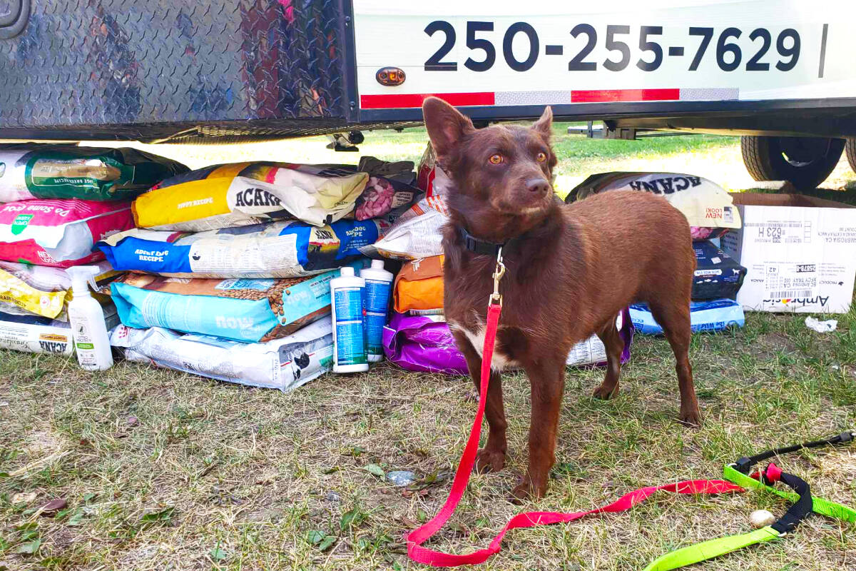 HOMETOWN HEROES Quesnel mobile organization sets up to help petugees