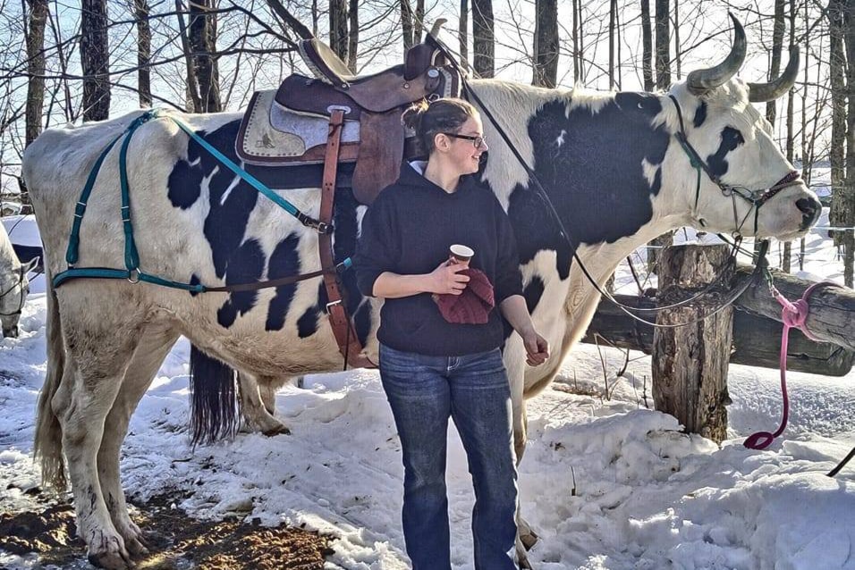Kelly Landry and her steer Magnum could be seen riding through Sylvan Lake recently. (Contributed photo)