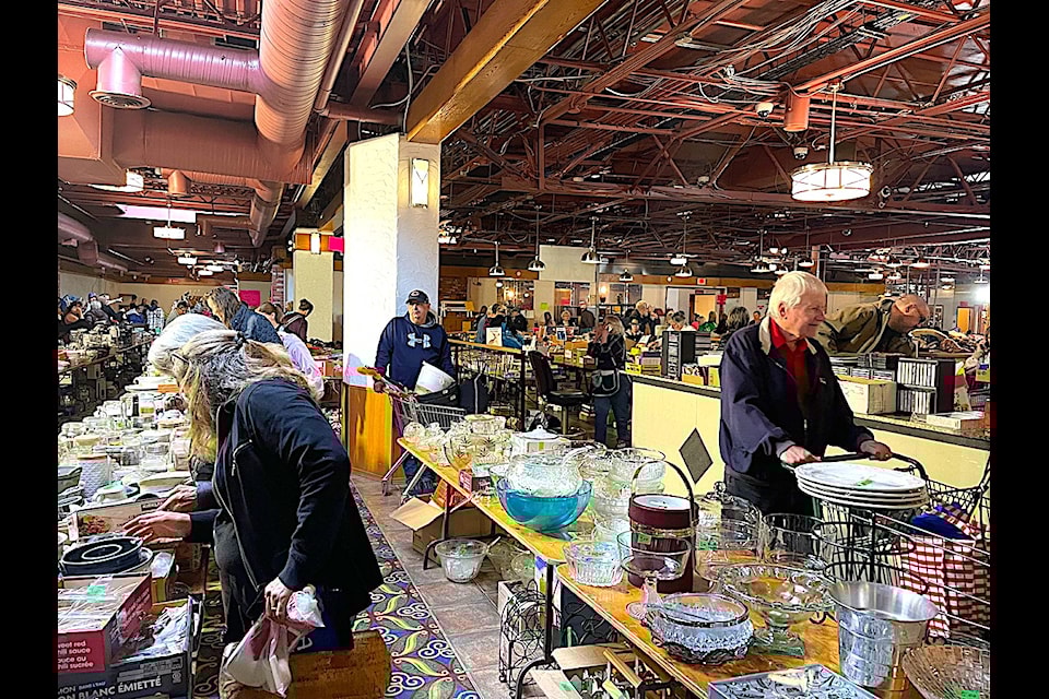 The Whisker Rescue Garage Sale fundraiser continues to 3 p.m. Sunday in the former Jackpot Casino building in downtown Red Deer, 4750-49th Ave. (Photo by LANA MICHELIN/Advocate staff).