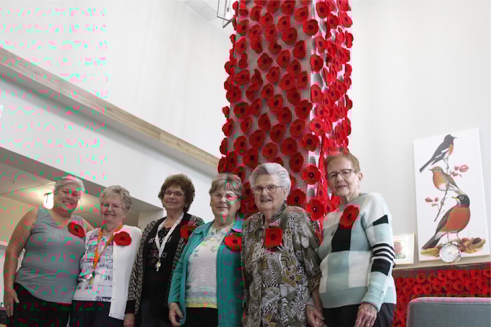 241104-rda-remembrance-day-poppies