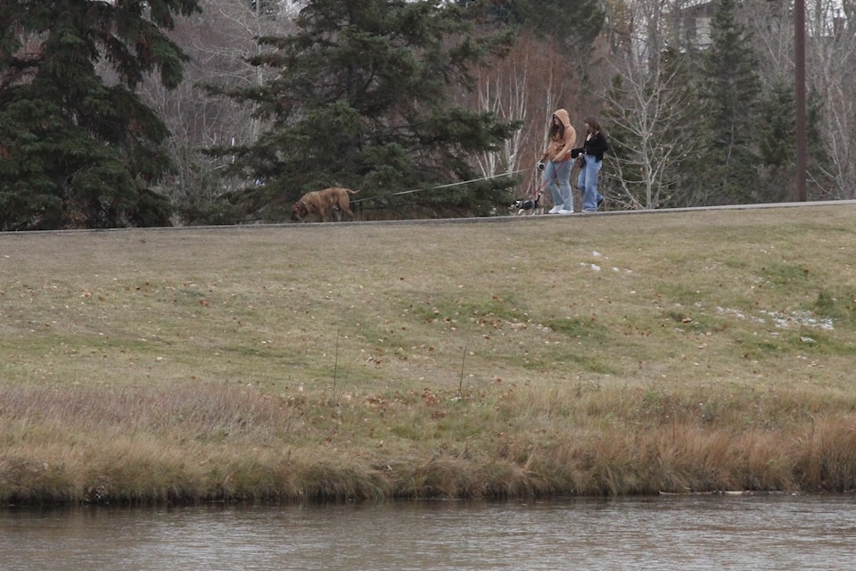A thin layer of ice lay over Bower Ponds on Monday, a reminder of what is to come. People were out enjoying a walk during what has so far been a warmer and drier fall than usual. (Photo by Paul Cowley/Advocate staff)