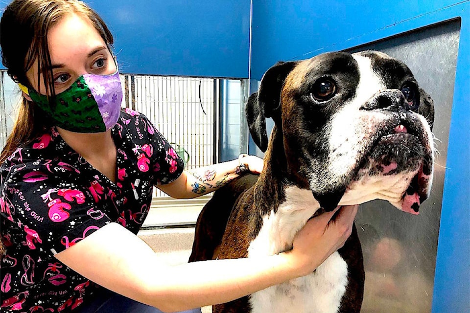 ca-humane-society