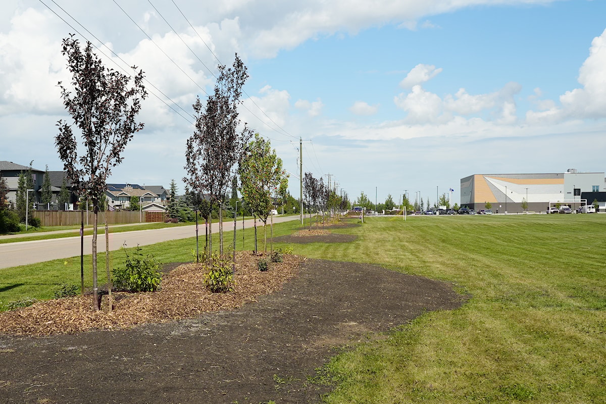 Penhold plants in excess of 100 trees for a greener future