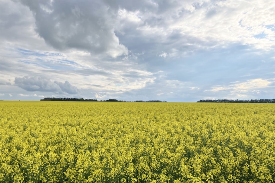 250806-rda-crop-report