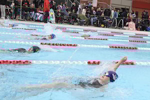 More than 500 swimmers compete in Red Deer Freeze or Fry