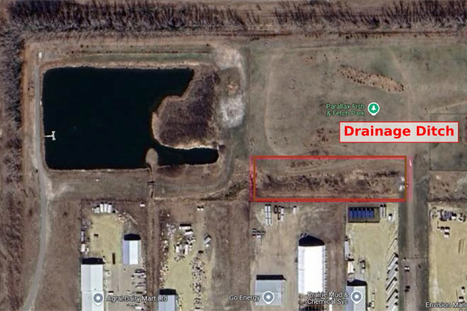 dog-park-lacombe