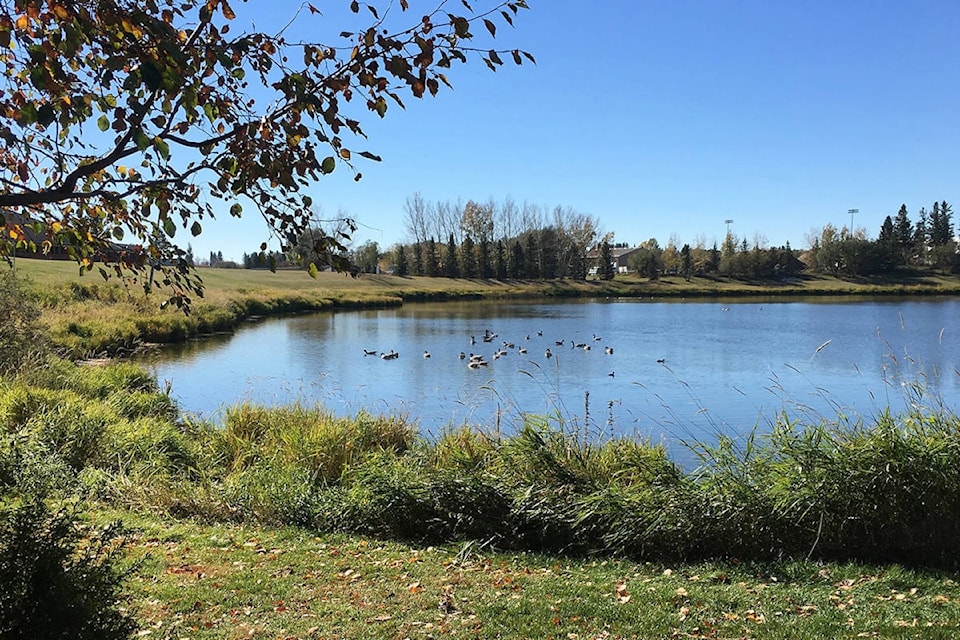 20350439_web1_200129-rda-lacombe-trails_1