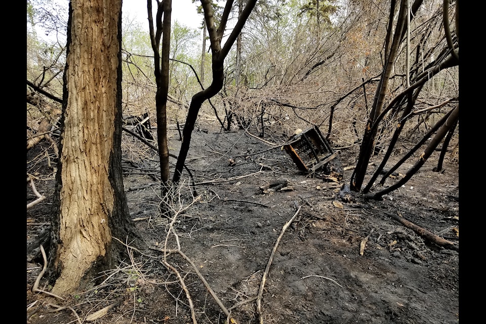 Red Deer Emergency Services were called out to a fire in a forested area near residential buildings along Gaetz Avenue and 60 Street on May 8, 2025. (Photo by SUSAN ZIELINSKI/Advocate staff)