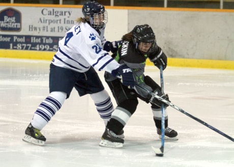 2RDCQueenshockey010611jeff_20110106203811