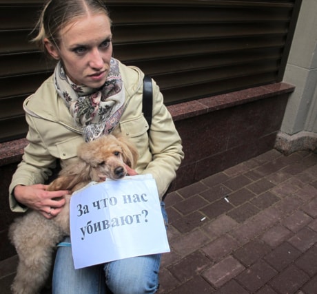 Russia Dog Deportation