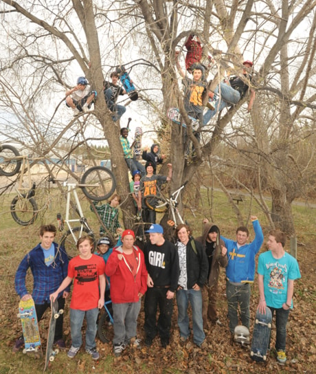 Skatepark tree 100422jer