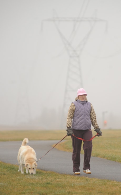 Dog Walk in the Fog 201009jer