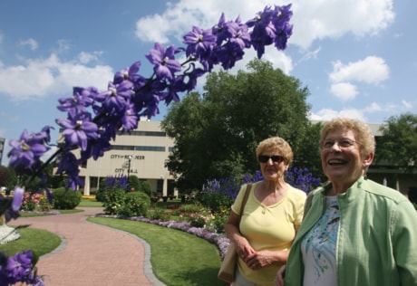 A03-Local-Flower-Walk