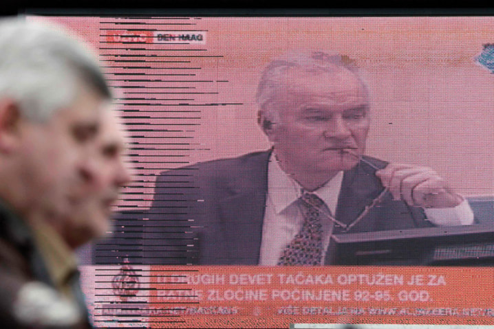 Bakir Izetbegovic , Ratko Mladic reax