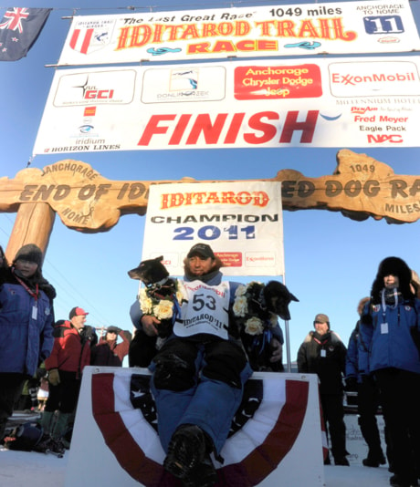 Iditarod Trail Sled Dog Race