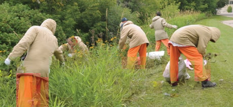 Remand Weed Pickers 100829jer