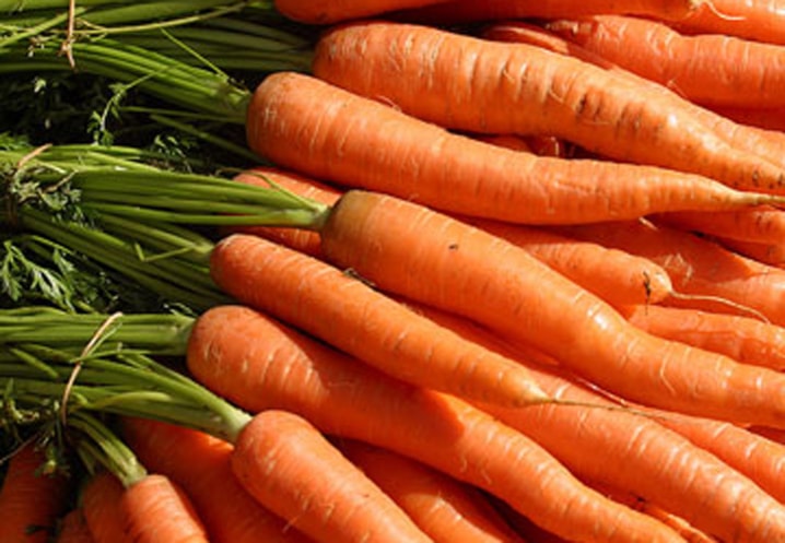 B02-carrots