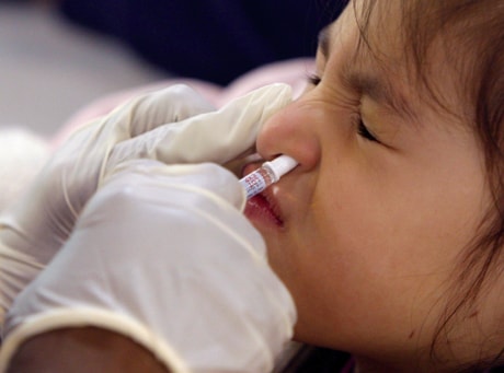 Flu Nasal Vaccine 20100714