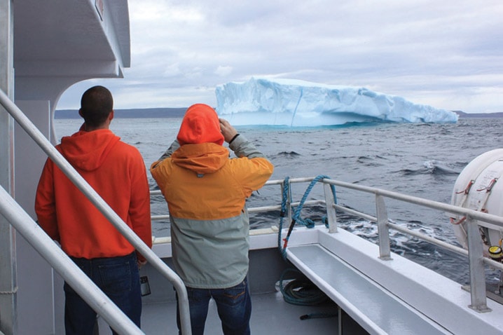 TRAVEL Log Icebergs 20120528