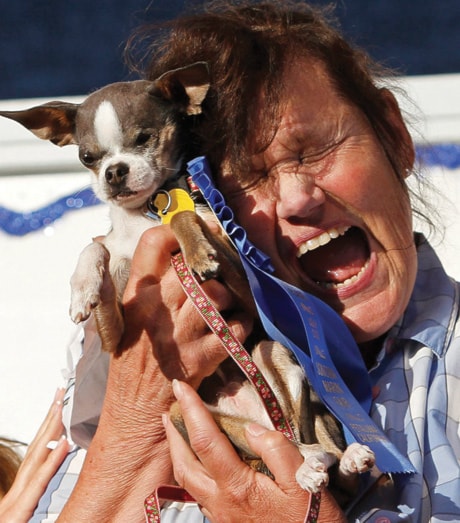 Kathleen Francis, Princess Abby the Chihuahua