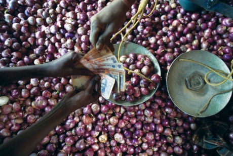 India Onion Prices