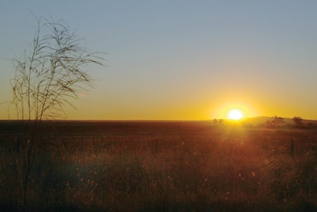 C01-Outback-sunset