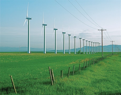 C02-Wind-farm-4