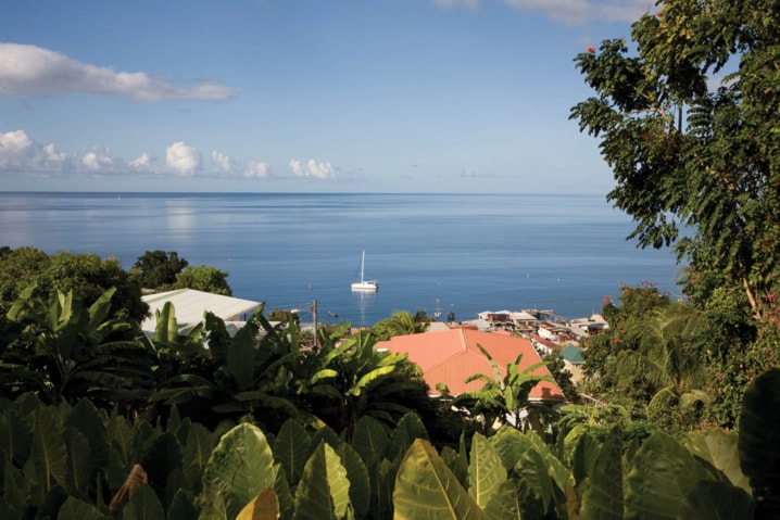 Dominica_2281_MR_CR2