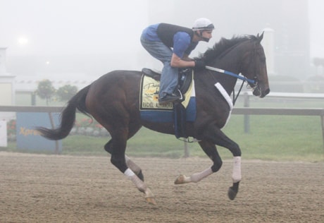 Dominic Terry, Rachel Alexandra