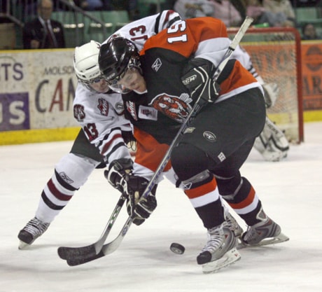 WHL Tigers Rebels20090107