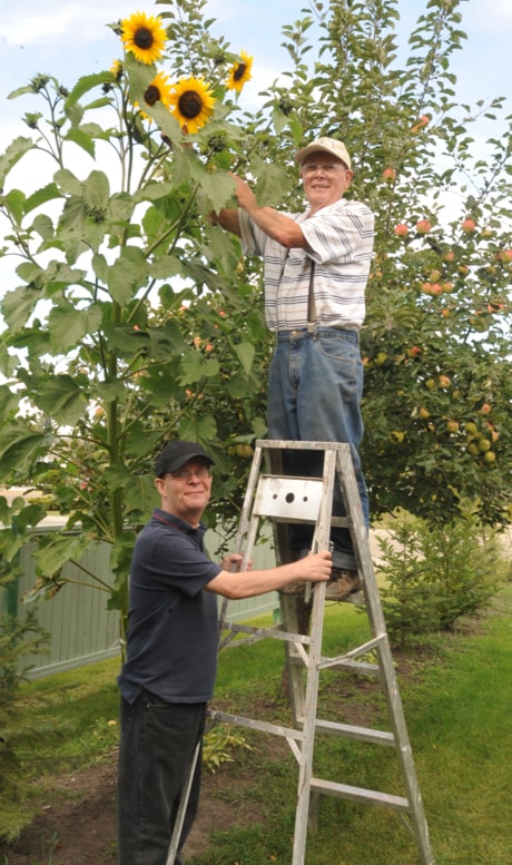 Sunflower tower 100904jer