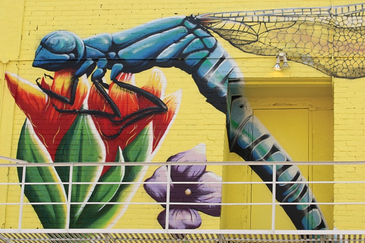 WEB-Alley-Art-Mural