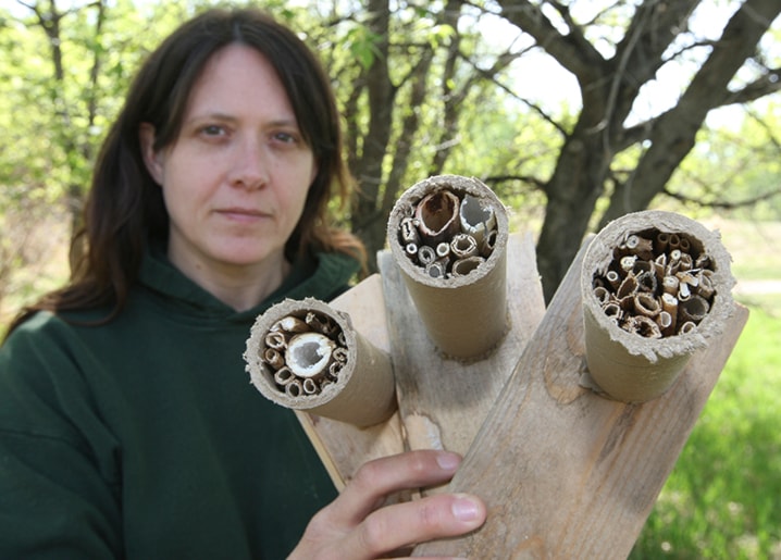 WEB-Bee-hotels