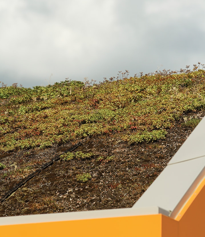 WEB-Green-Roof-on-Sorenson-Station